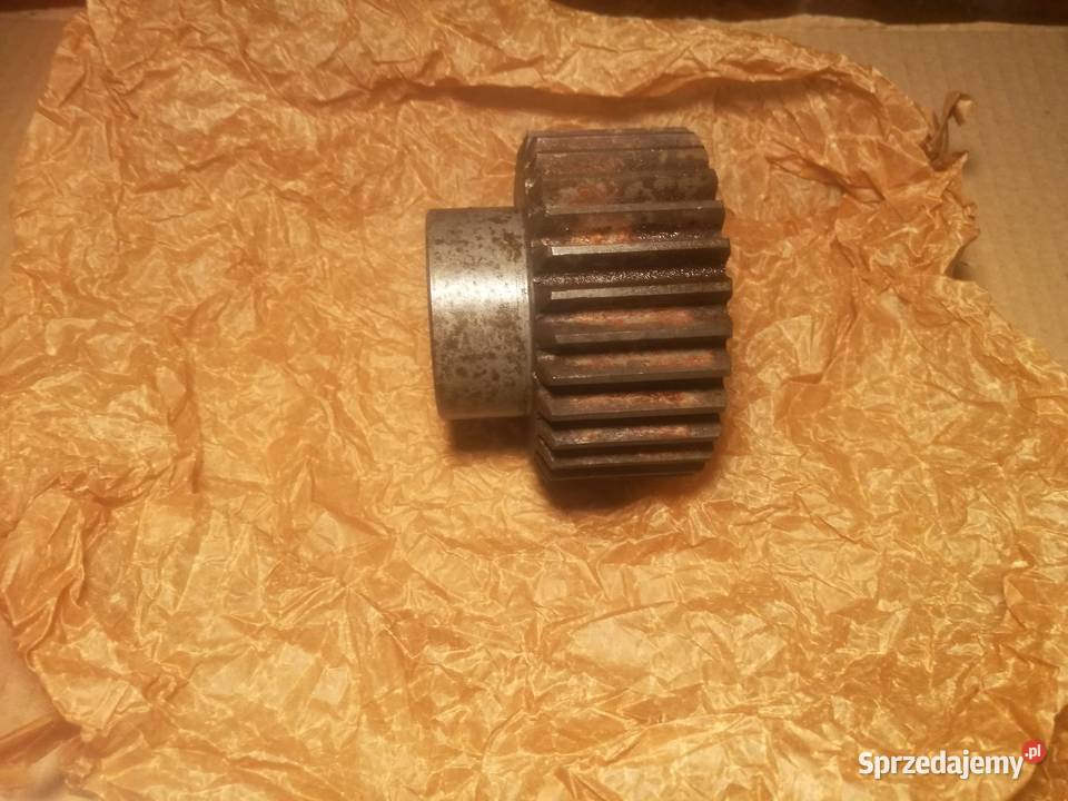 Koło zębate z wielowypustem wielowypustem Z30 Biecz