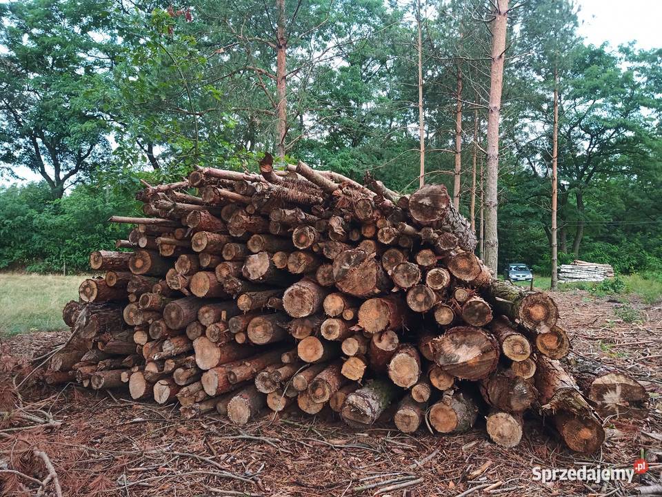 Brzoza sosna akacja wałki drewno suche m3 Wągrodno