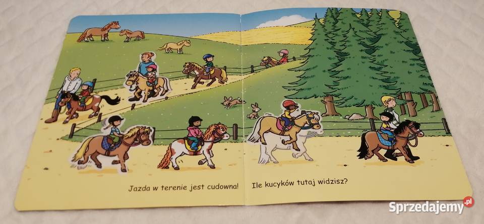 Klub jeździecki Obrazki najmłodszych Olesiejuk Książki dla dzieci śląskie
