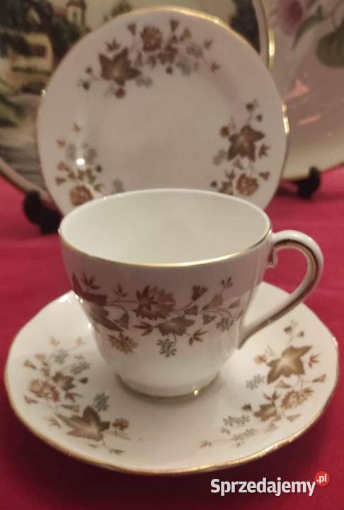 Colcloughangielska porcelana kostnaFiliżanka ze Pabianice