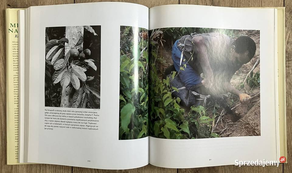 Medycyna naturalna Rośliny które leczą J Warszawa