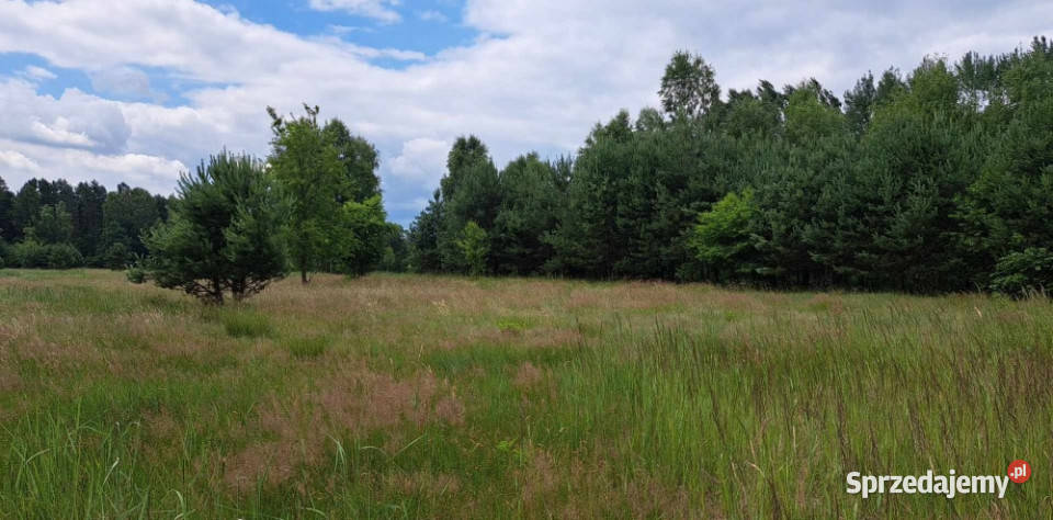 Sprzedam piękną działkę 6000 m2 Cisza i spokój Luta