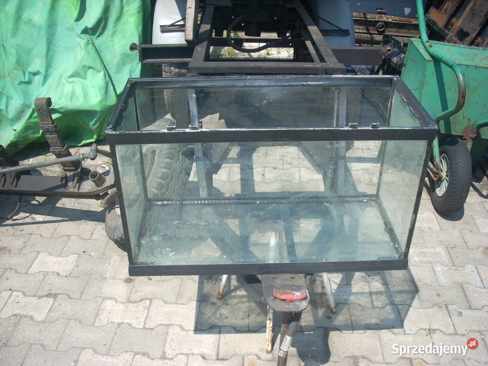 Akwarium terrarium Marki