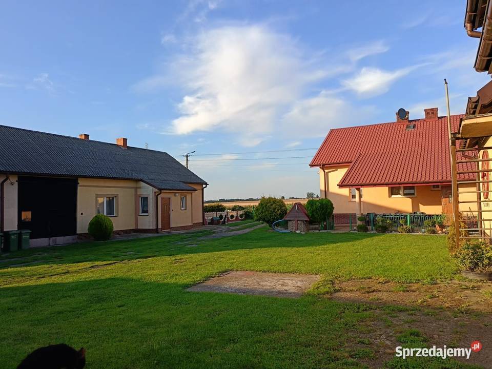 WYJĄTKOWA NIERUCHOMOŚĆ W M ROSOCHA GM OSIEK MAŁY 12273zł/m2 Sprzedaż