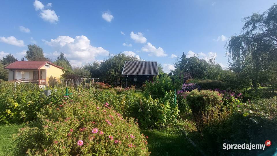 Działka ROD Słonecznik Zalewem Lublin
