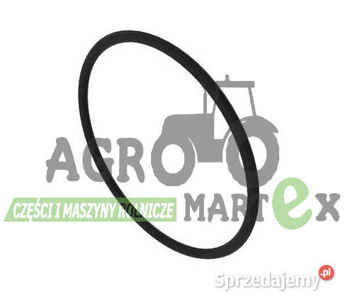 E80243 ORING JD dolnośląskie Wichrów