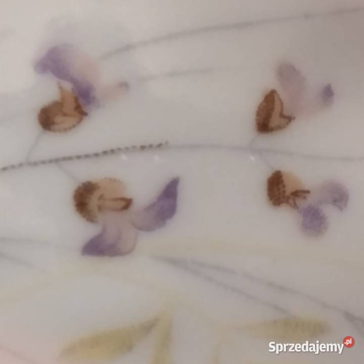 porcelana Chodzież Bukowno