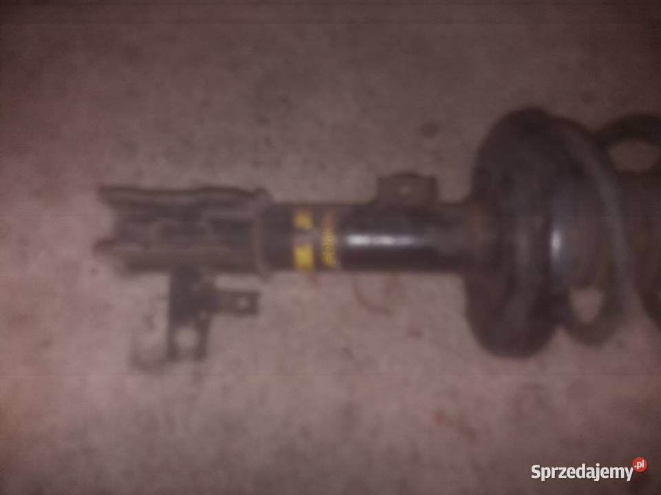 Amortyzatory Monroe opel Signum Dębowa Kłoda