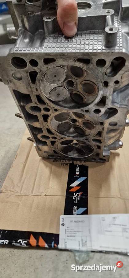 Głowice 30 V6 ASN AUDI A4 B6 osobowe Głowice cylindrów Kończyce Małe