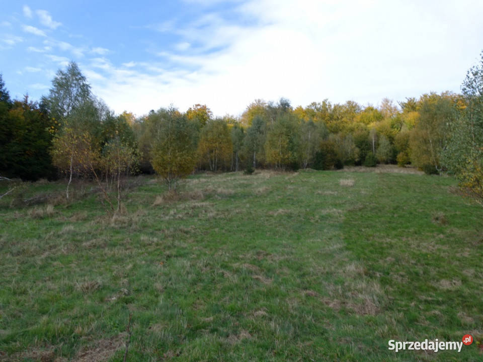 Brenna 253 ha działka inwestycyjna wyciągu 25300m2 mazowieckie