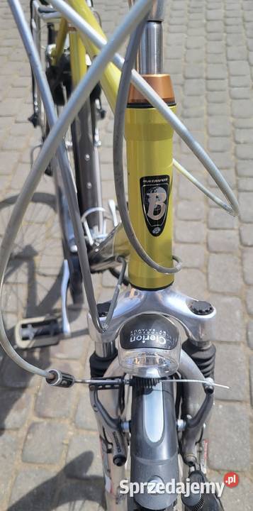 Batavus Cayuca męski rower trekingowy 61 Gogolin