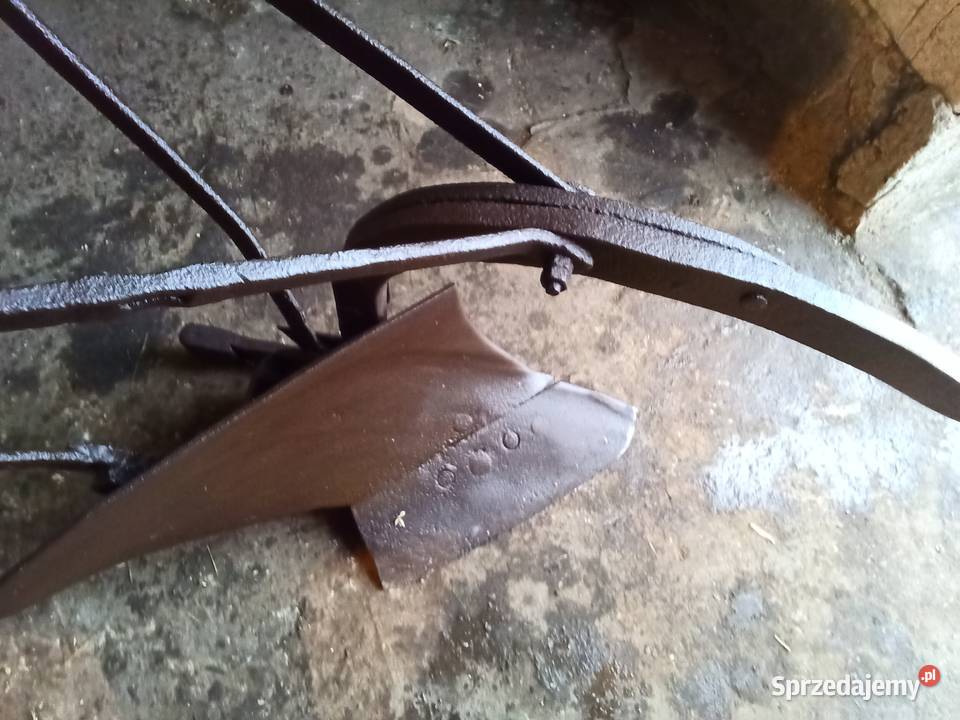 Plug jednoskibowy konny Lipno