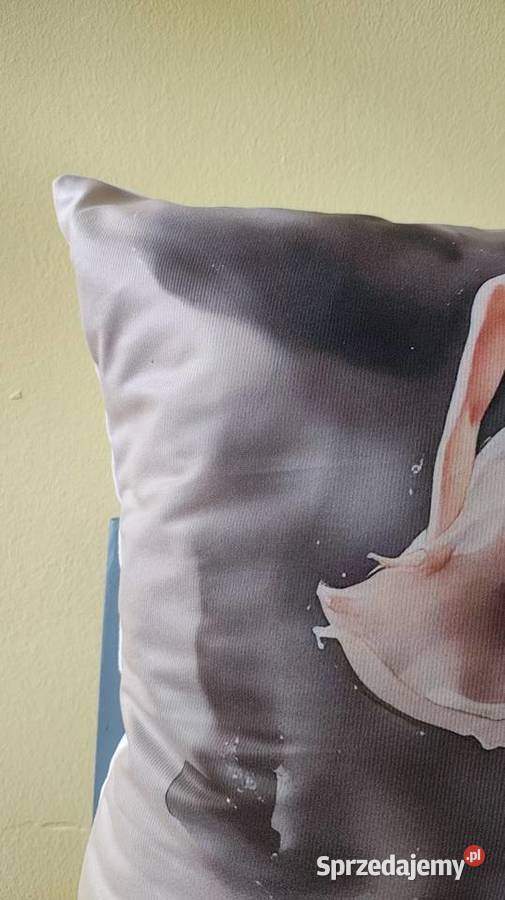 Poszewka na poduszkę Łódź