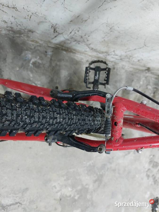 Rower MTB BULLS COMP 550 Szczecin