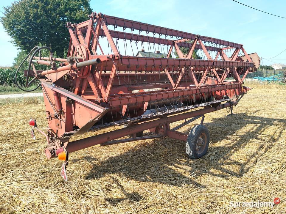 Bizon 56 kombajn zbożowy Zbożowe kujawsko-pomorskie Mąkowarsko