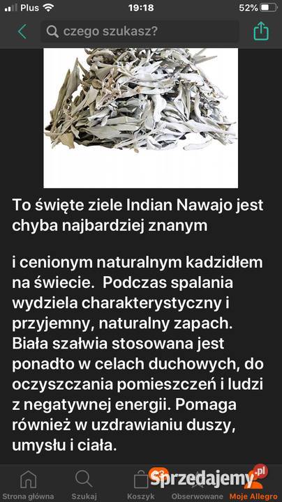 Biała szałwia podkarpackie Nisko