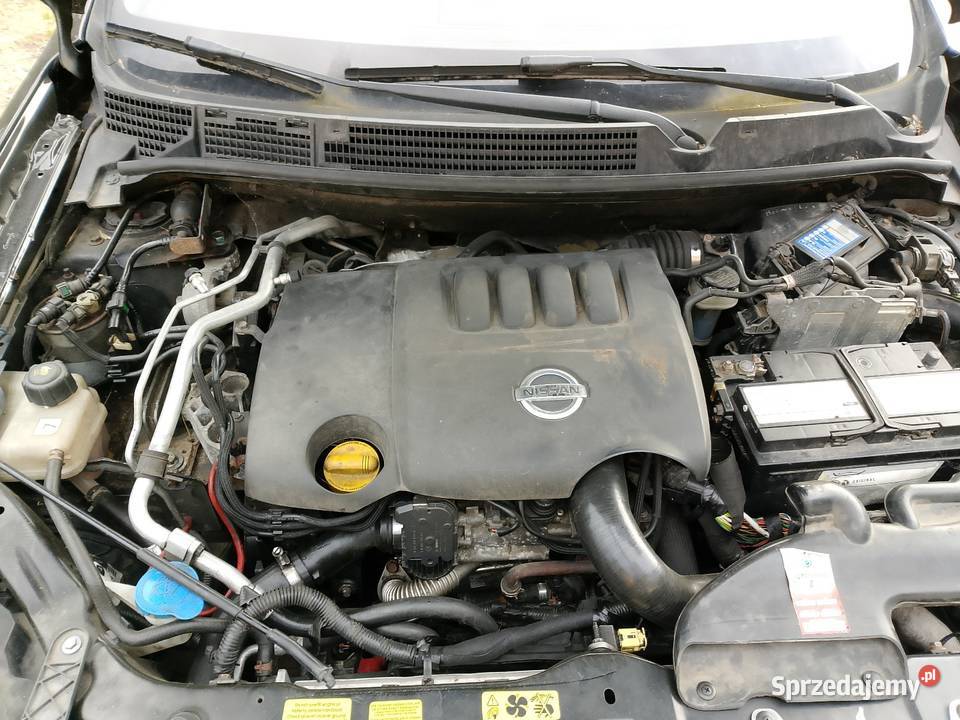Nissan Qashqai+2