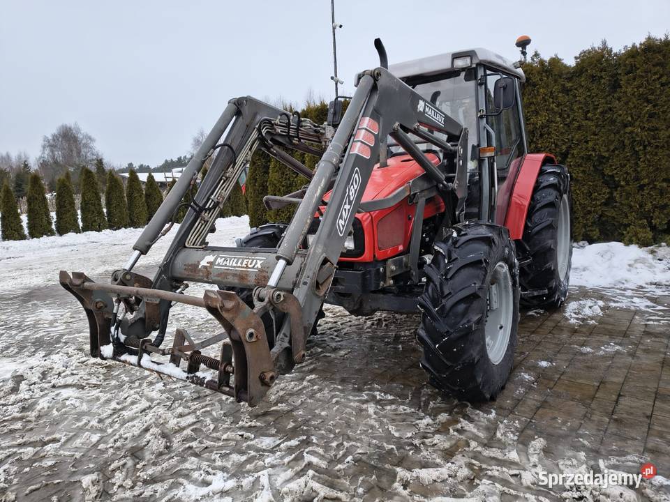 Massey Ferguson 4235 z ładowaczem Grabów Szlachecki