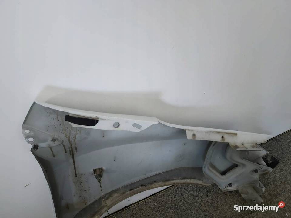 BŁOTNIK LEWY PRZÓD D389 Dacia Dokker I 2012 Rok produkcji 2015