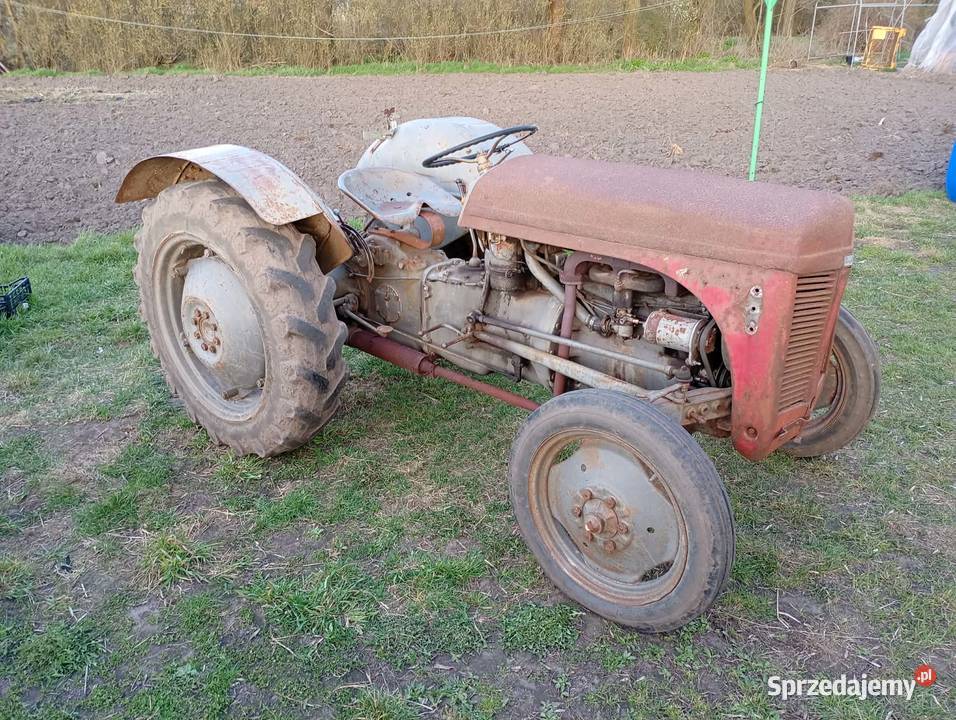 Sprzedam Fergusona TEA 20 Ferguson wielkopolskie