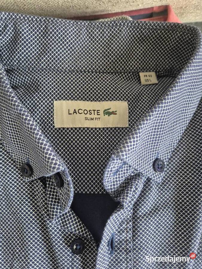 Zestaw 9 męskich koszul kolorowy Odzież codzienna dolnośląskie Wrocław