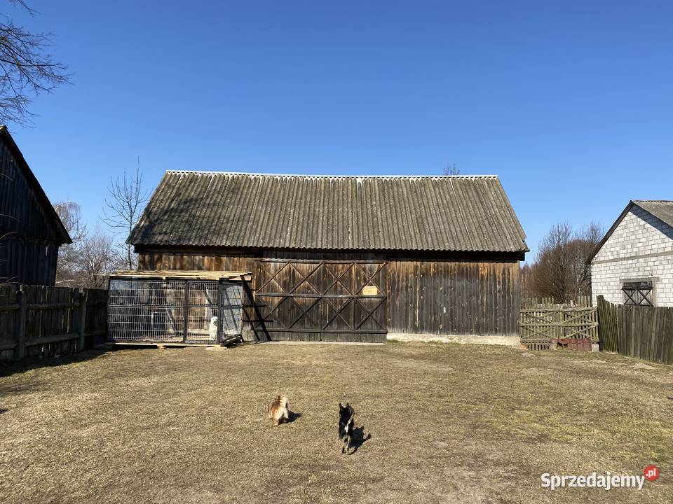 Syndyk Sprzeda Nieruchomość Zabudowaną Wólka Przekory Wólka-Przekory ...