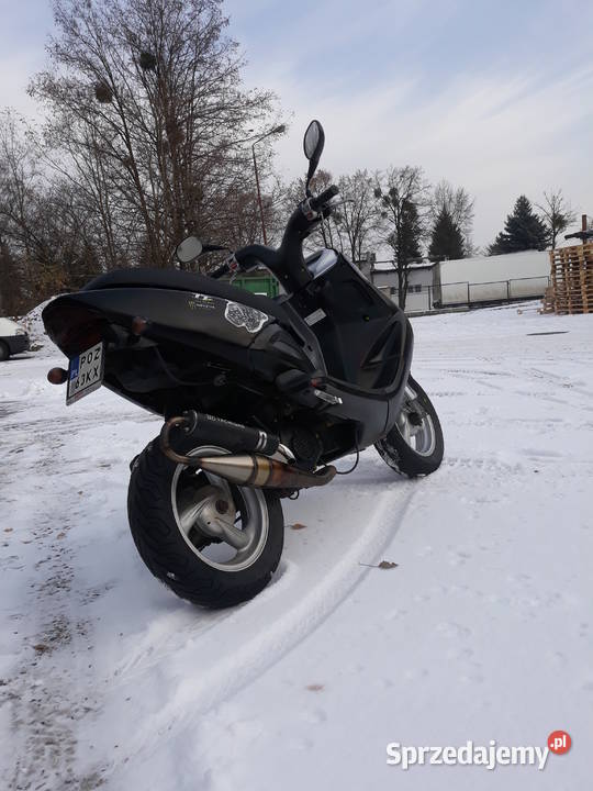 TGB f409 10KM Poznań