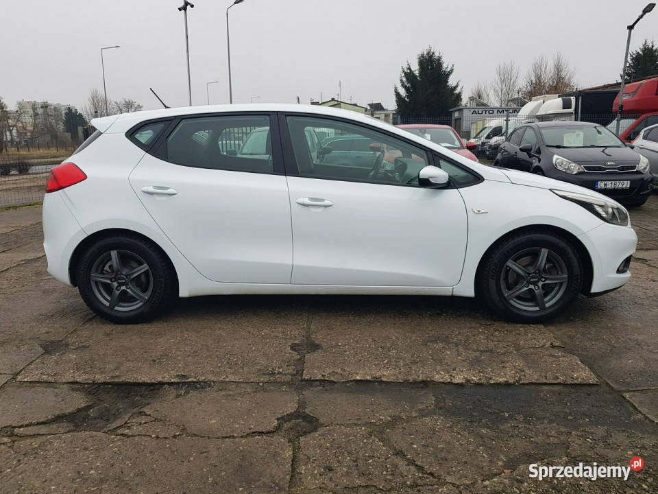 Kia Ceed 14 Benzyna Klima Zarejestrowany Włocławek