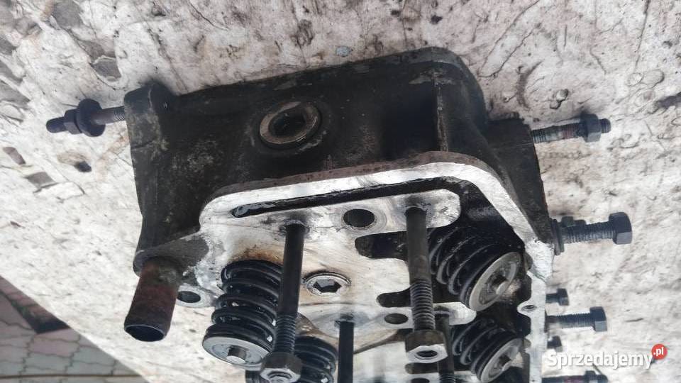 Polonez Borewicz glowica 1500