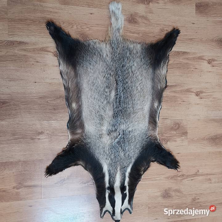 Skóra Naturalna BORSUK Skóra Dekoracyjna z Szaflary sprzedam