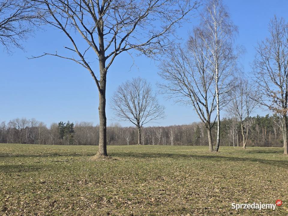 Działka z panoramą na jezioro Dąbrówno