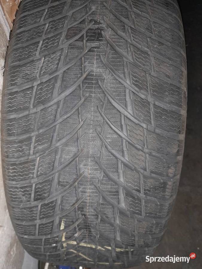Opony zimowe NOKIAN TYRES WR SNOWPROOF P Zabrze