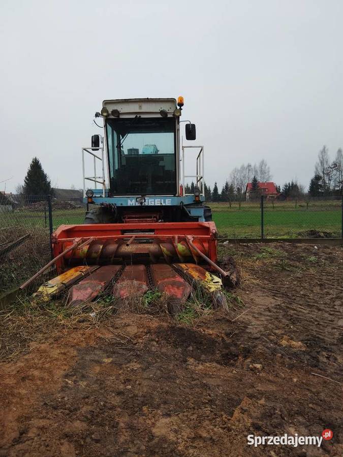 Sieczkarnia Mengele sf 6000 Przystawka do kukurydzy Sejny