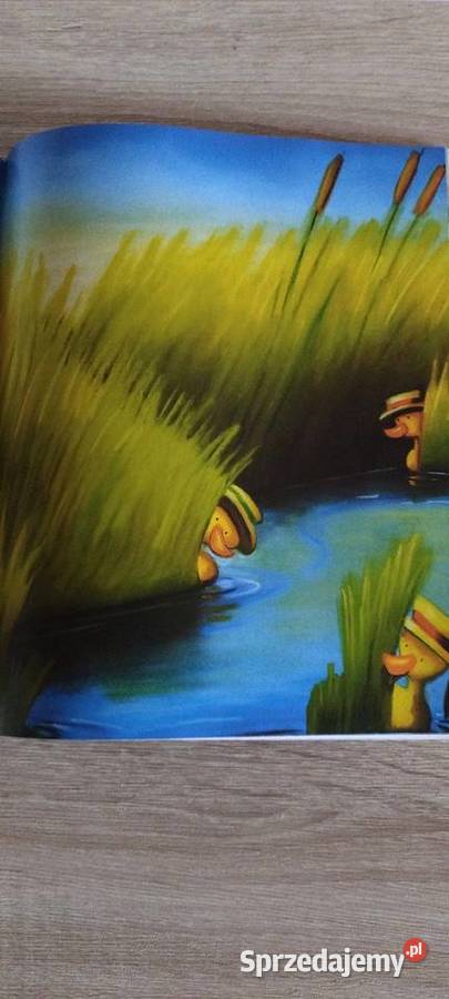 Gapuś i przyjaciele ISBN 832412134X Lublin sprzedam