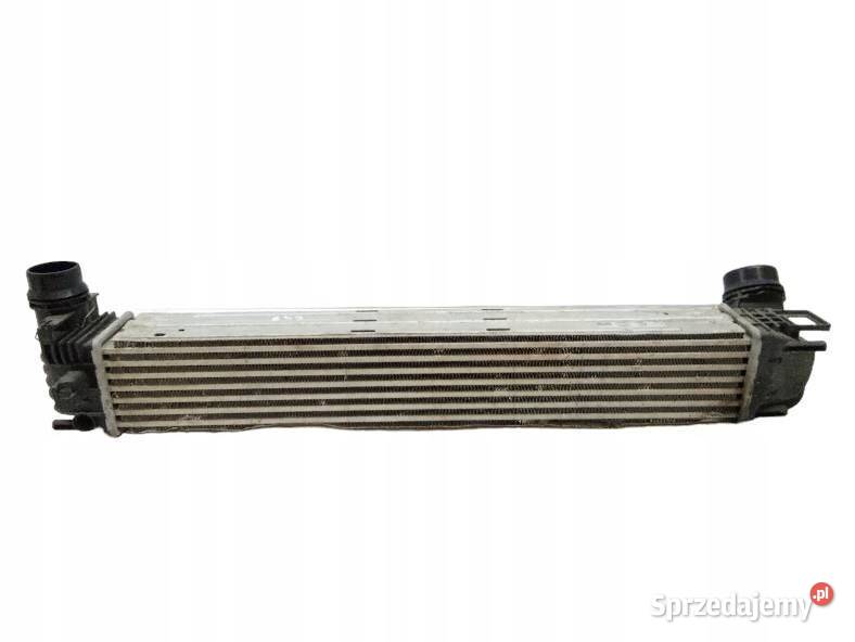 INTERCOOLER CHŁODNICA 19 DCI Renault Scenic III sprzedam