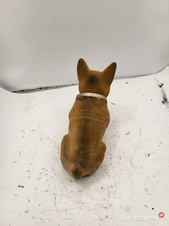 PIES BOXER PRL FIAT 125 126 MERCEDES VW GARBUS sprzedam