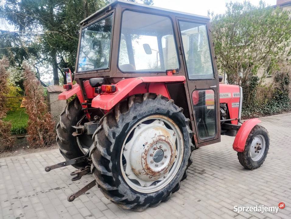 Massey Ferguson 255 Orginał Zarejestrowany Z Damasławek