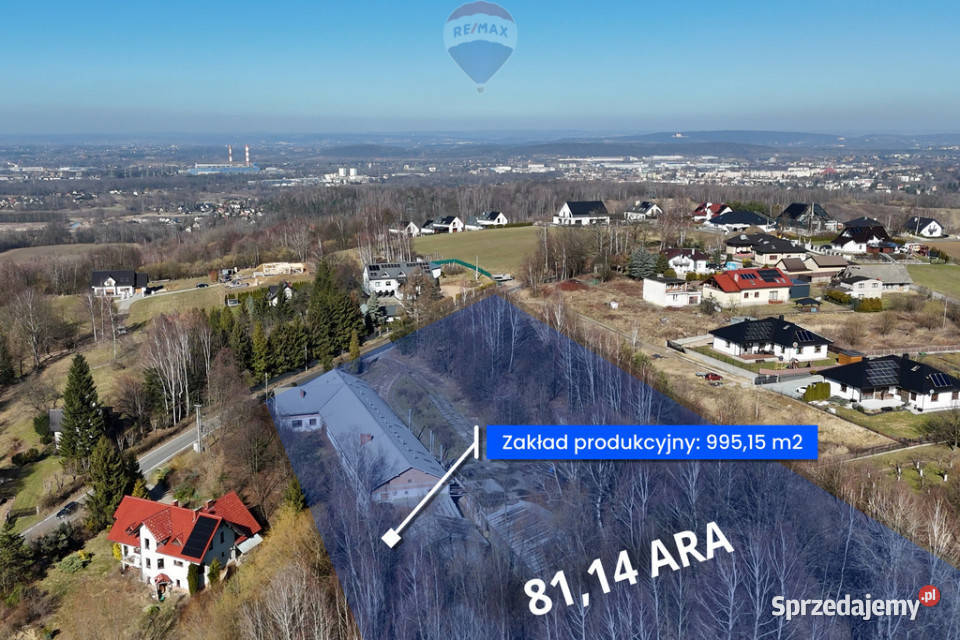 Nieruchomość Przemysłowa Fabryka Manekinów 761.6m2 Sprzedaż Radziszów