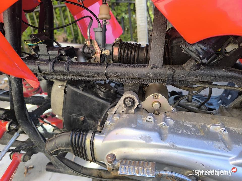 Quad Bashan 150 automat Świercze