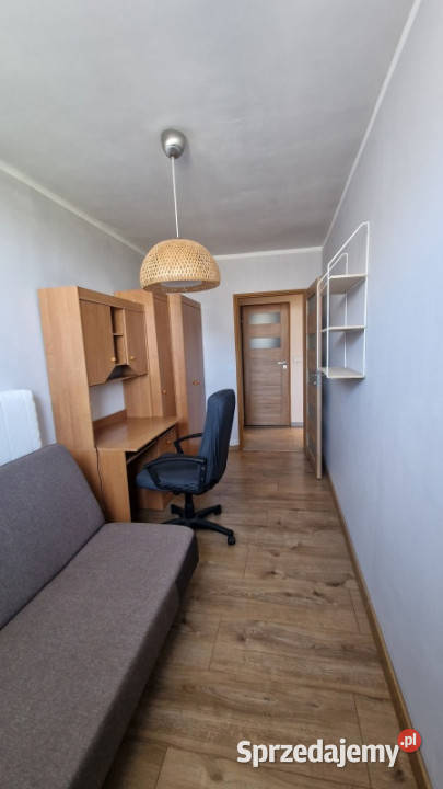 Oferuję bezpośrednio do wynajęcia dwupokojowe Al 3 piętra i więcej Warszawa