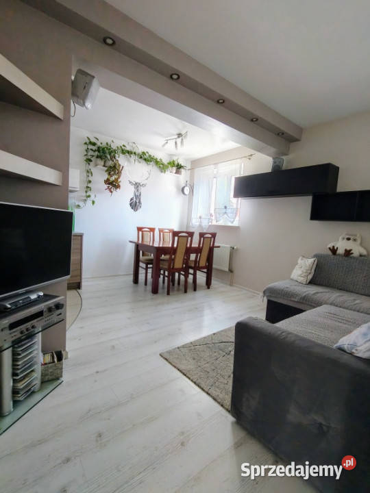 Unikalne mieszkanie w Gdyni 3 pokoje z lasem Piętro 1 Gdynia