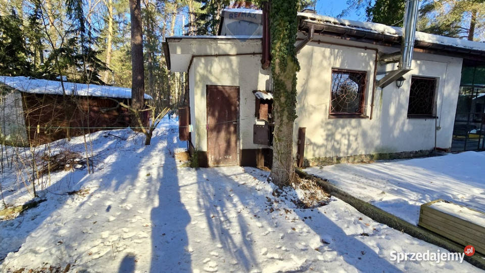 Działka zabudowana Zalesie Górne Kwiat Paproci Grunty i działki