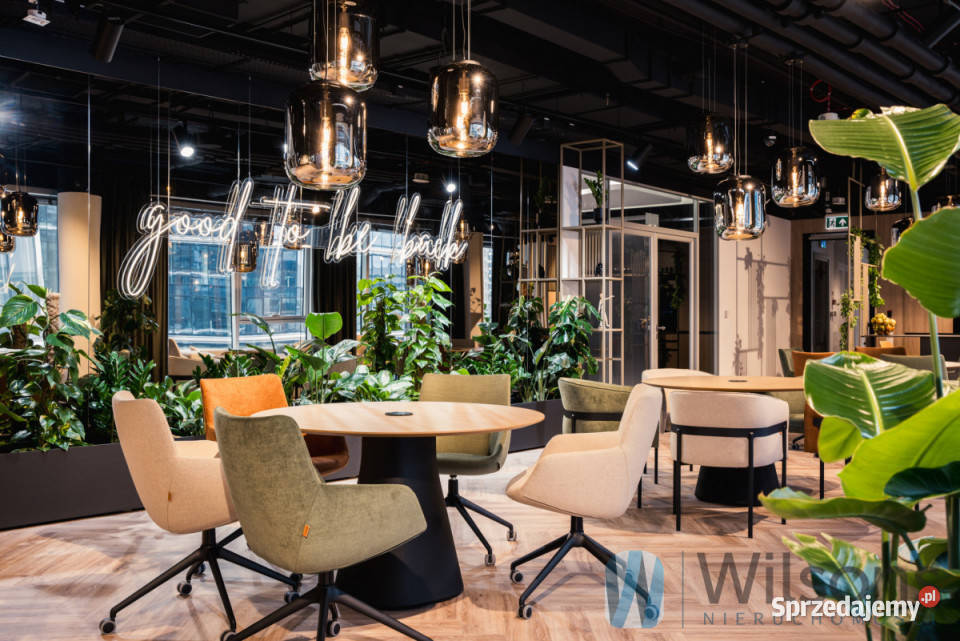 Lokal Warszawa 50m2