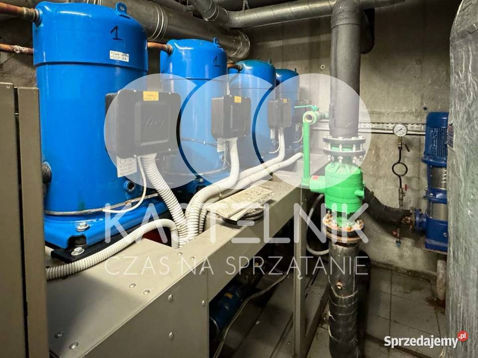 Sprzątanie gołębiach Chełmno Kastelnik mycie