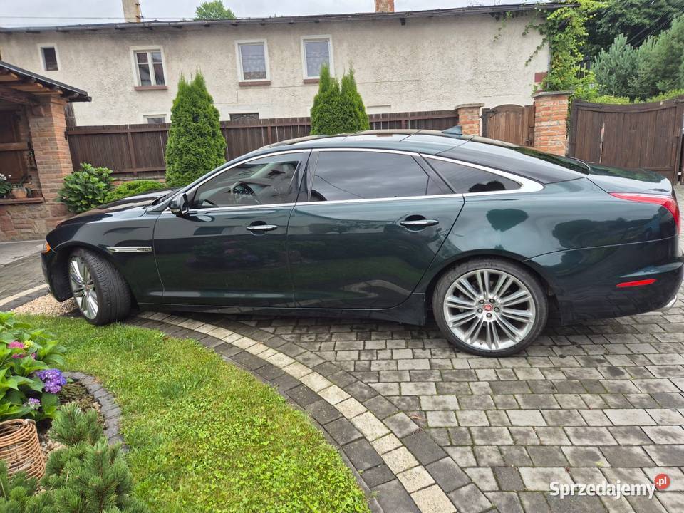 Jaguar XJ dolnośląskie Dzikowiec