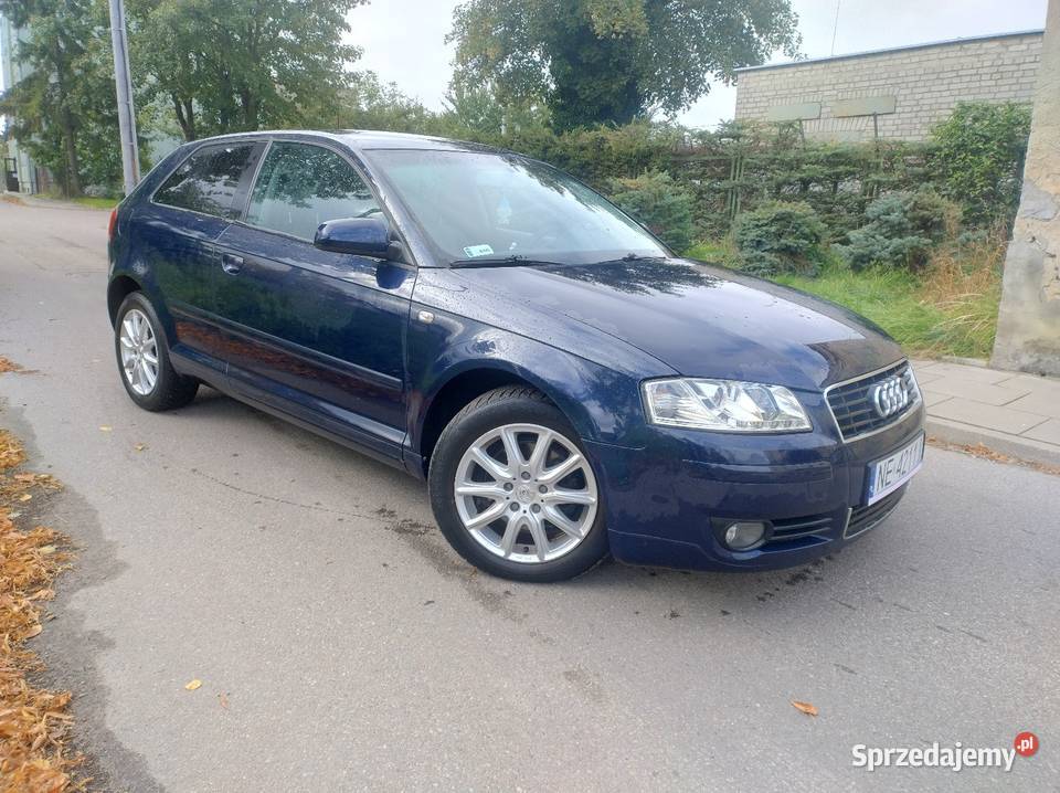 Audi A3 8p 20 TDI 20034r Klima 3 Lata w 1 Wł Rok produkcji 2003 warmińsko-mazurskie Elbląg