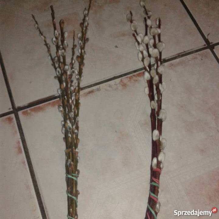 Baziepalmy wielkanocne Dekoracje i ozdoby Piotrków Trybunalski