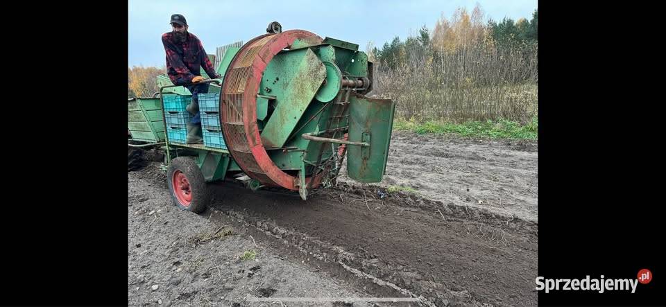 Kombajn ziemniaczany Wuhlmaus Lipiny sprzedam