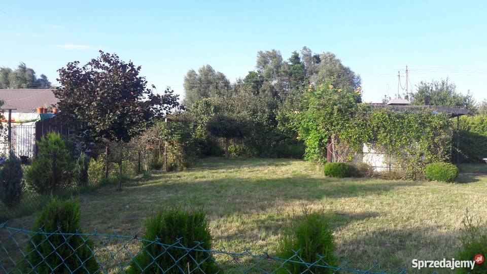 Działka rekreacyjna ROD Pogodny