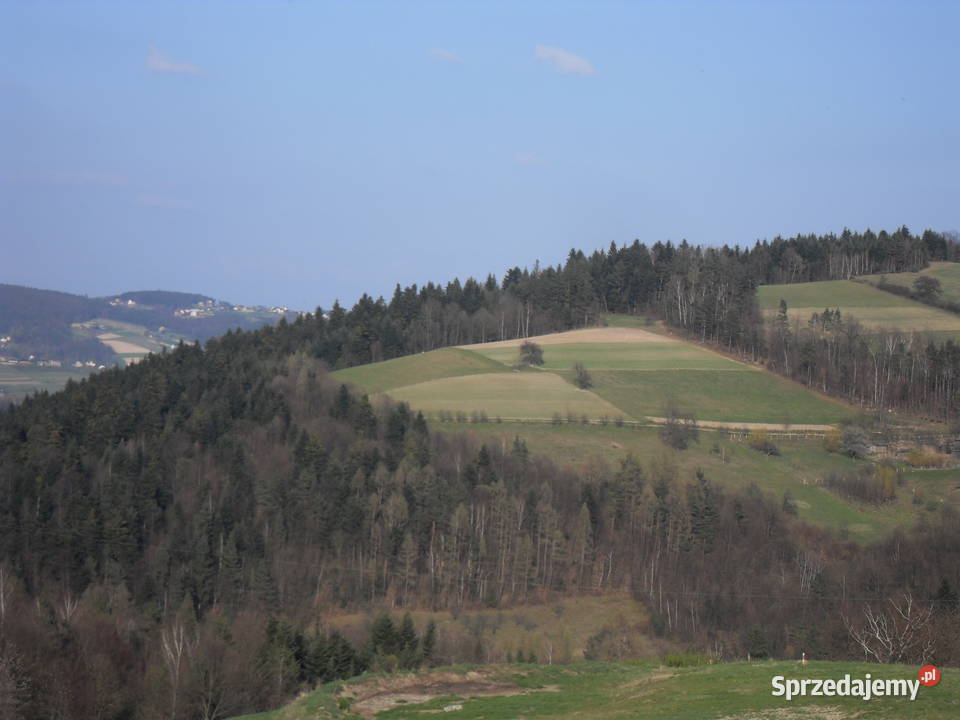DZialka widokowo rolna 35argm lososina dolna Sprzedaż Nowy Sącz